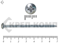 Шуруп с полукруглой головкой DIN7981 4,2х70 (2000шт)