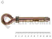 Анкер с кольцом м12 16х110 (10шт)